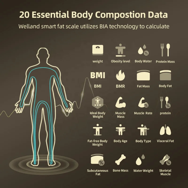 FitSense Pro: Precision Body Analysis